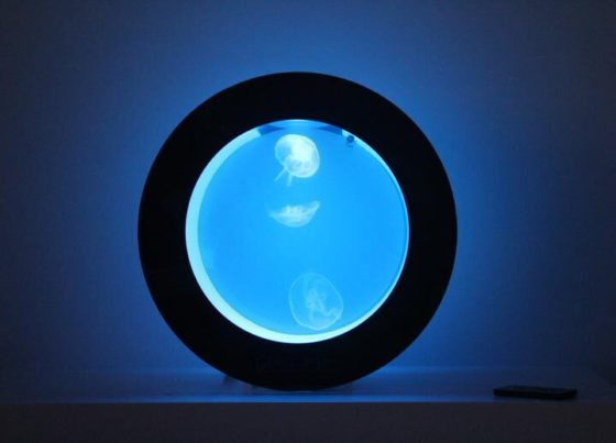 Cubic Orbit 20 with Blue LEDs and Moon Jellyfish