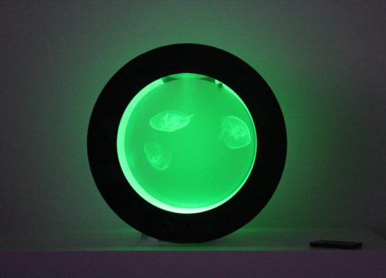 Cubic Orbit 20 with Green LEDs and Moon Jellyfish