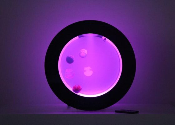 Cubic Orbit 20 with Pink LEDs and Blue Blubber Jellyfish