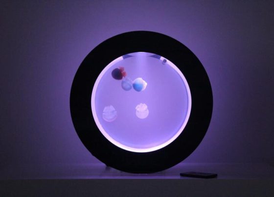 Cubic Orbit 20 with Purple LEDs and Blue Blubber Jellyfish