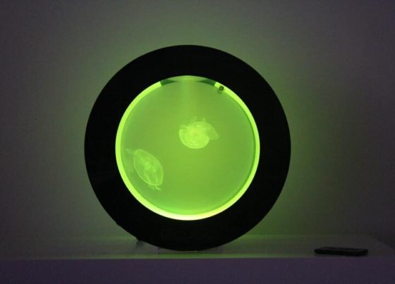 Cubic Orbit 20 with Yellow Lights and Moon Jellyfish