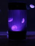 Jellyfish Art Cylinder Nano