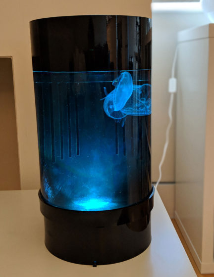 Jellyfish Art Cylinder Nano Blue