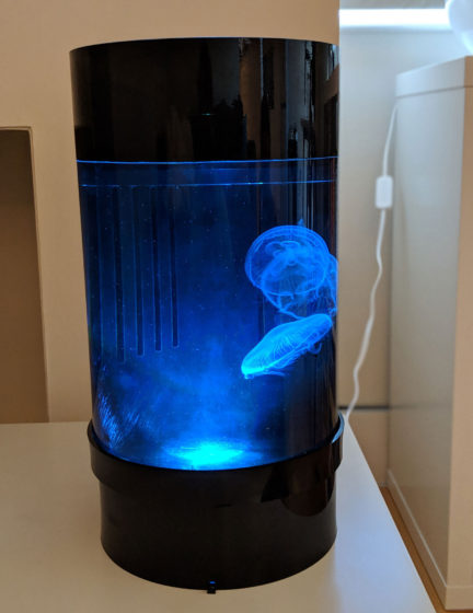 Jellyfish Art Cylinder Nano Blue 3
