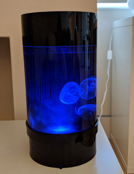 Jellyfish Art Cylinder Nano Dark Blue