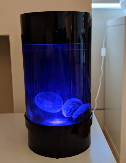 Jellyfish Art Cylinder Nano Dark Blue 2