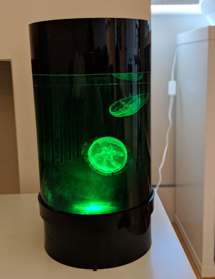 Jellyfish Art Cylinder Nano Green