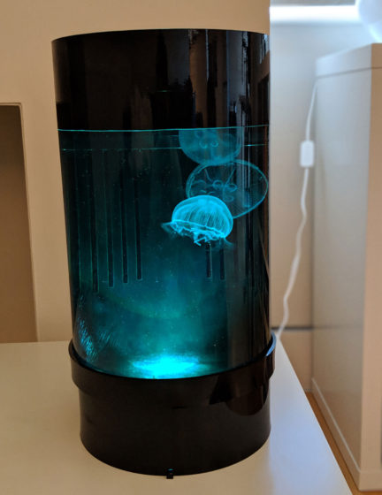 Jellyfish Art Cylinder Nano Green-Blue