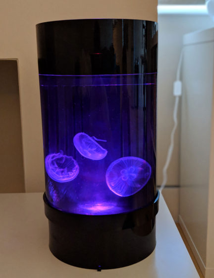 Jellyfish Art Cylinder Nano Mauve