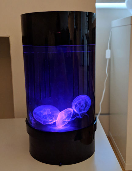 Jellyfish Art Cylinder Nano Purple