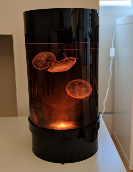 Jellyfish Art Cylinder Nano Orange-Red