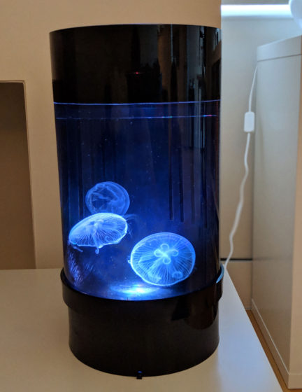 Jellyfish Art Cylinder Nano White