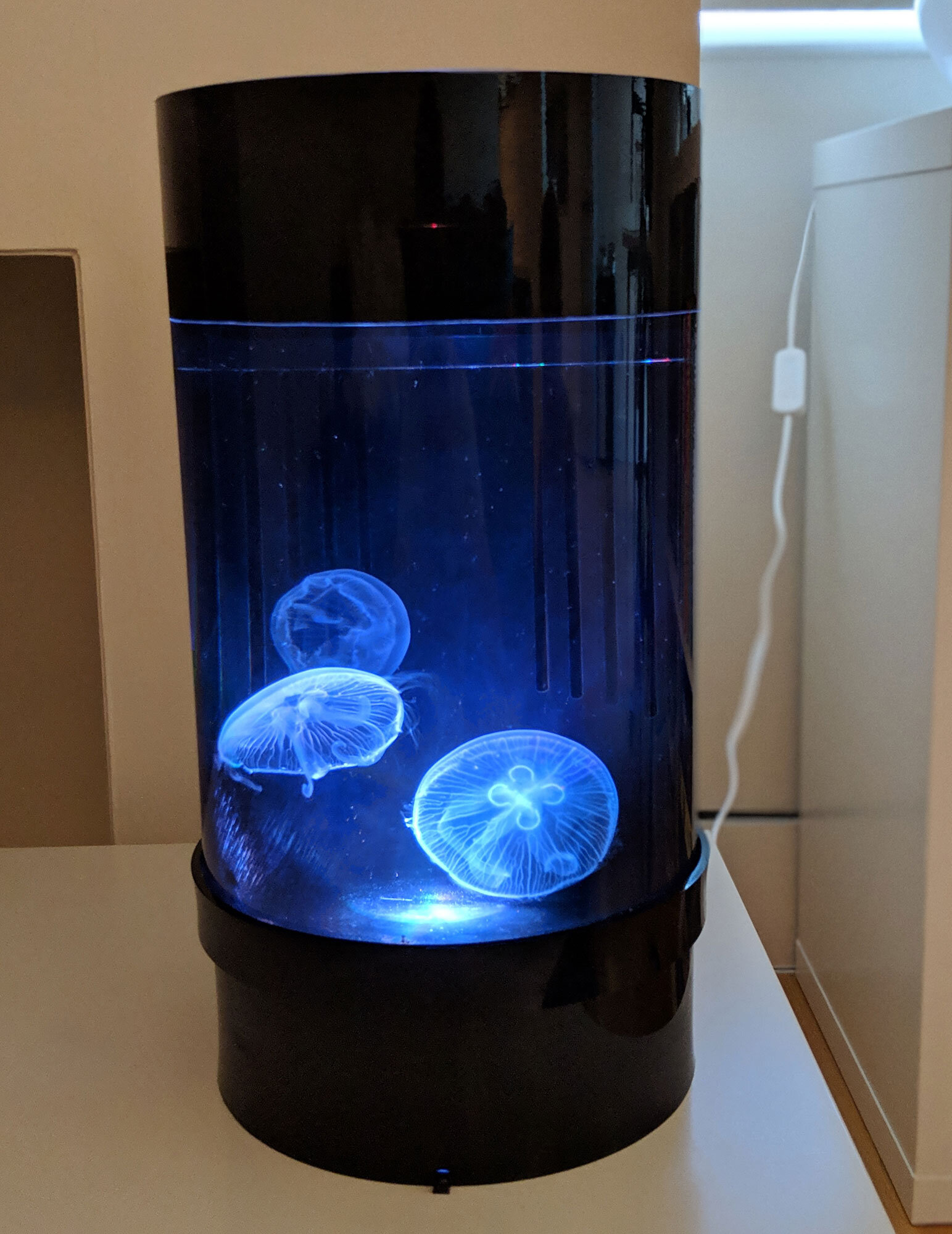 orbit jellyfish tank