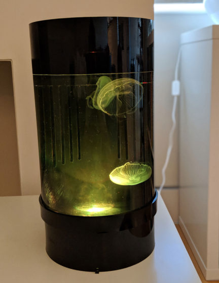 Jellyfish Art Cylinder Nano Yellow